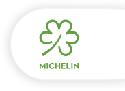 Michelin verde